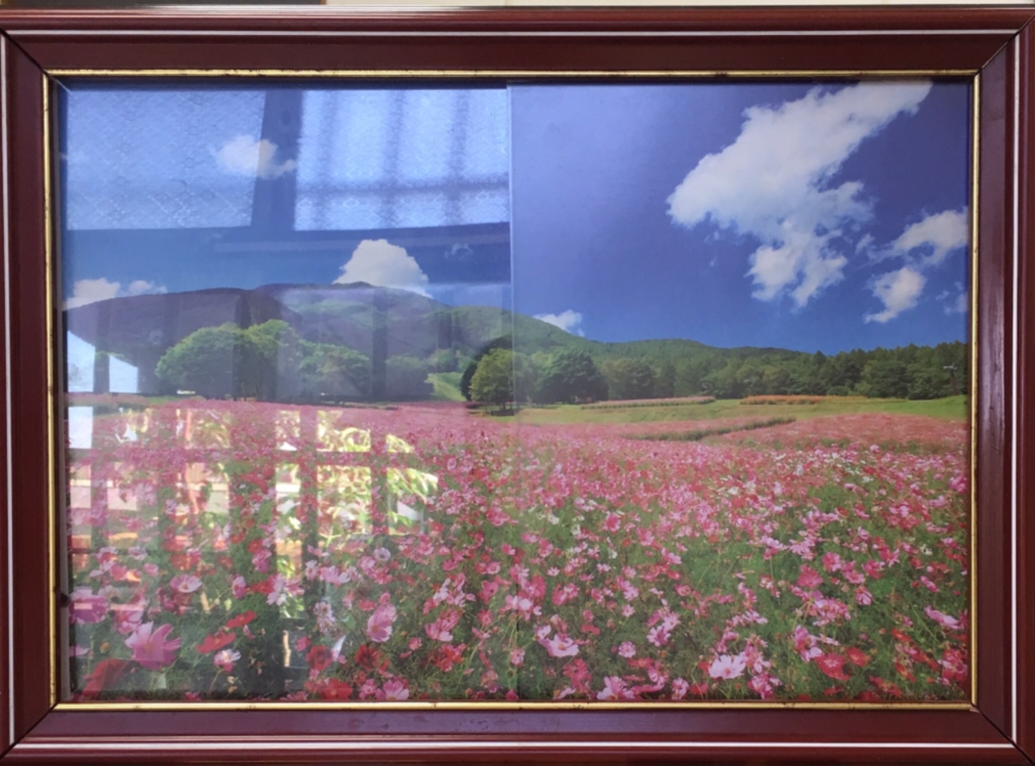 抗反射板|防眩光板